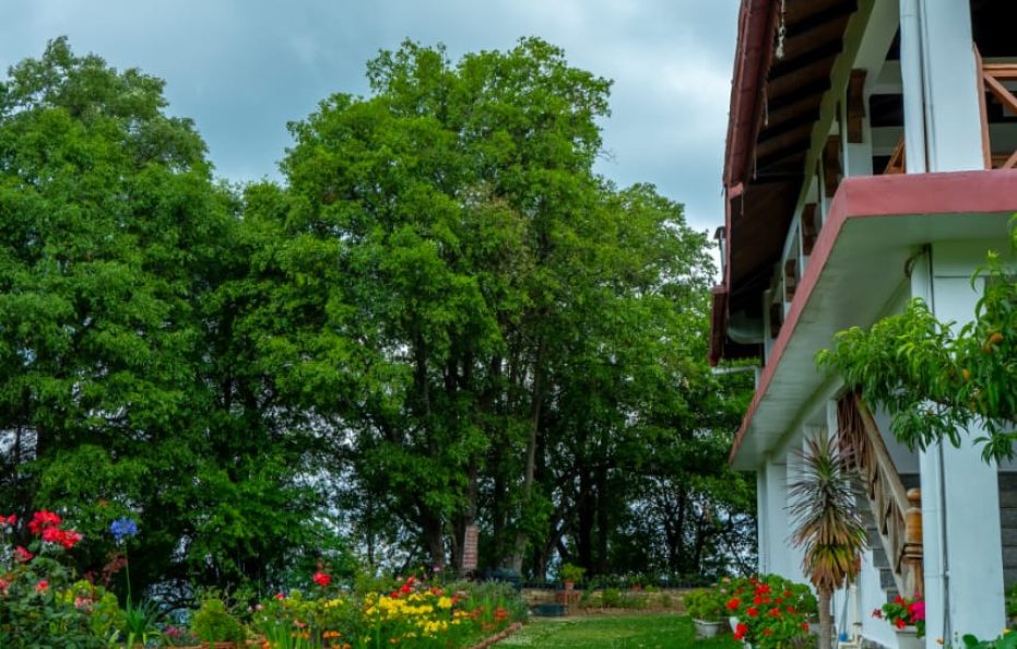 Dyo Resort Mukteshwar