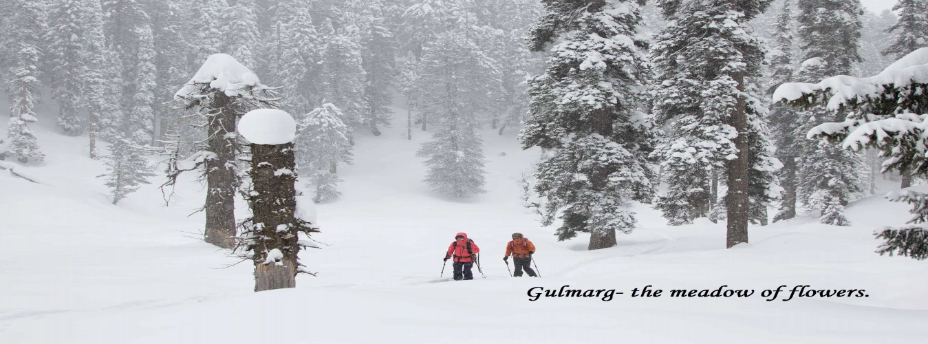 gulmarg banner