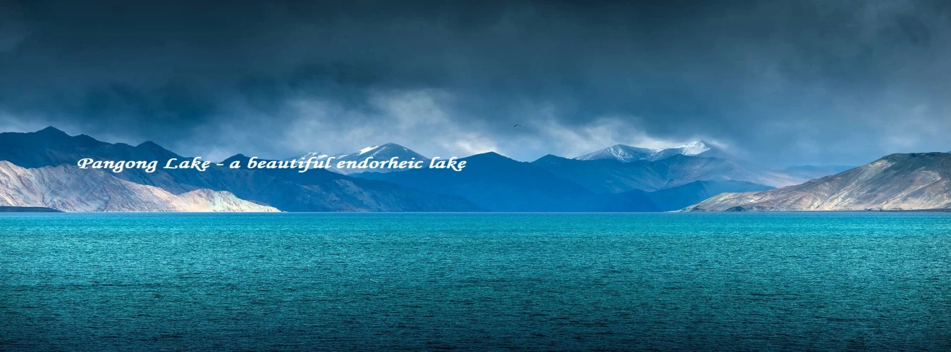 pangong