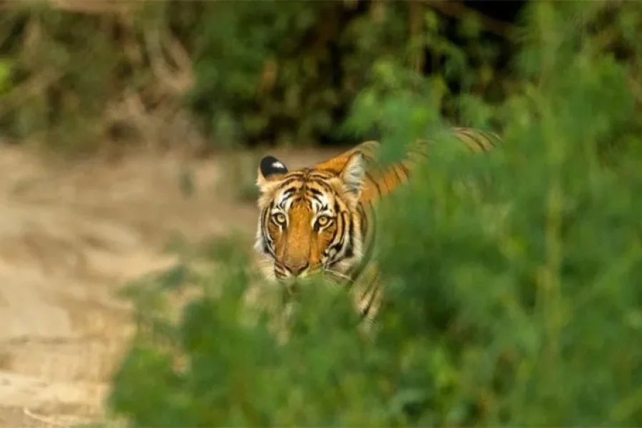 Uttarakhand Tour Packages From Delhi