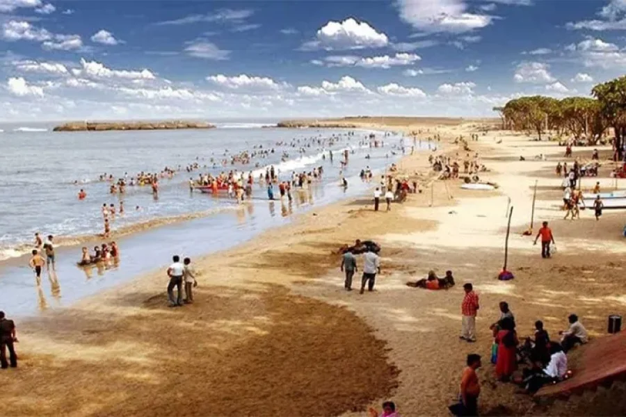 Gujarat Wildlife and Beach Tour