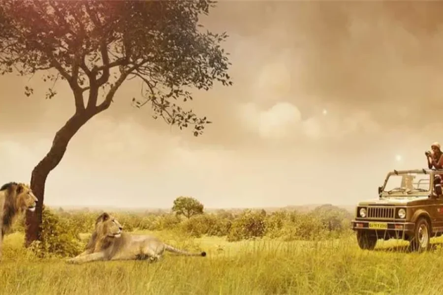Sasan Gir National Park Tour