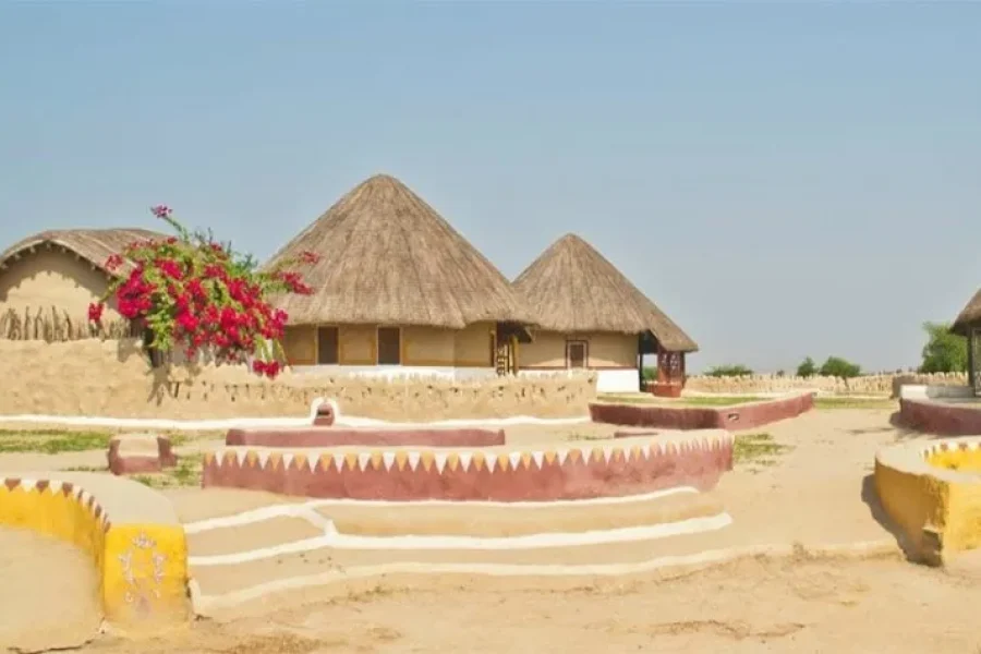 Ahmedabad Dwarka Somnath Diu Sasan Gir Bhuj Rann of Kutch Mandvi Tour