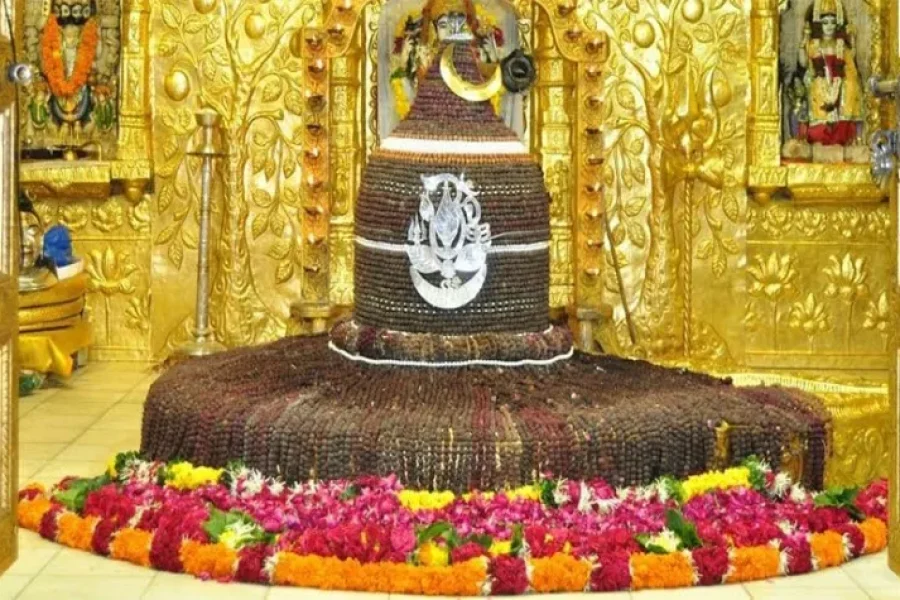 Statue Of Unity Tour Package from Ahmedabad
