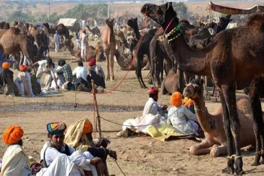 Pushkar Tour Package