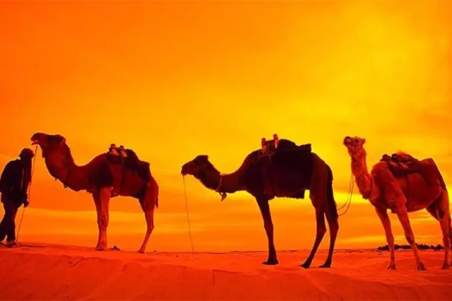Jaipur Pushkar Udaipur Car Package