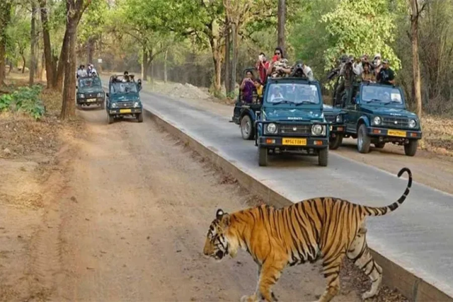 Golden Triangle with Ranthambhore Jungle Safari