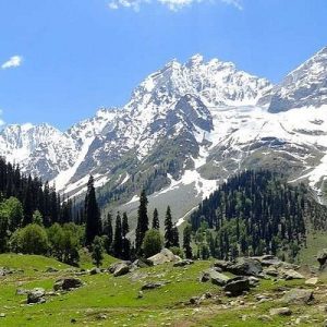 Kashmir snow mountains and Green trees