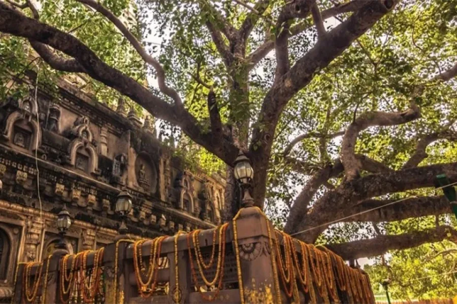 Varanasi Bodhgaya Patna Kushinagar Lumbini Kapilvastu Sravasti Lucknow