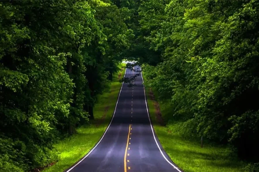 Coorg Tour