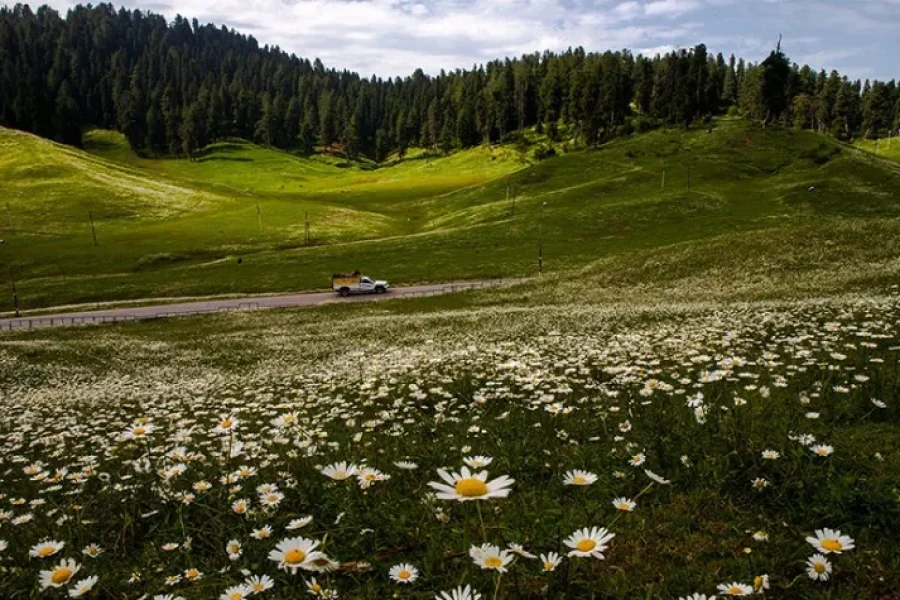 Jewells of Kashmir Tour Package