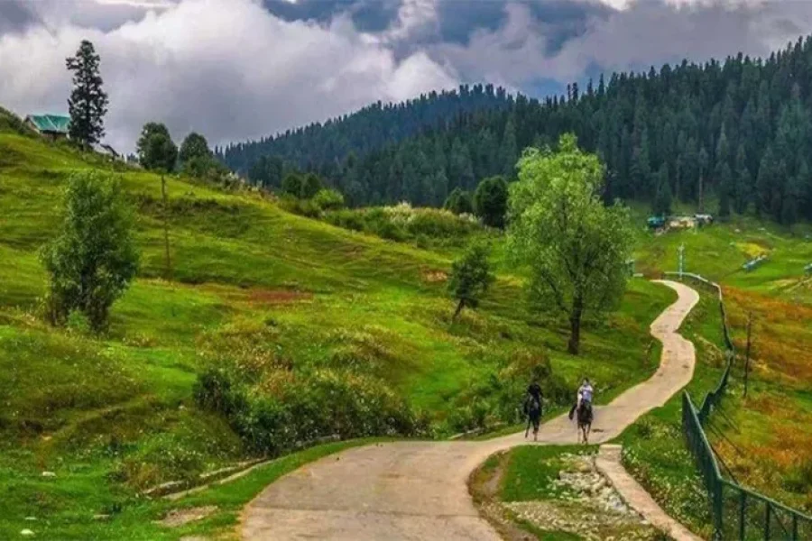 Srinagar Pahalgam Gulmarg Tour