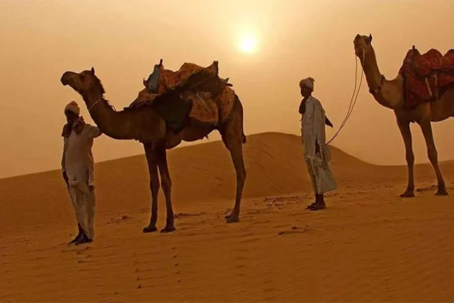 Ajmer Pushkar Tour