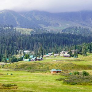 srinagar Gulmarg Beutiful mountain and Green trees.